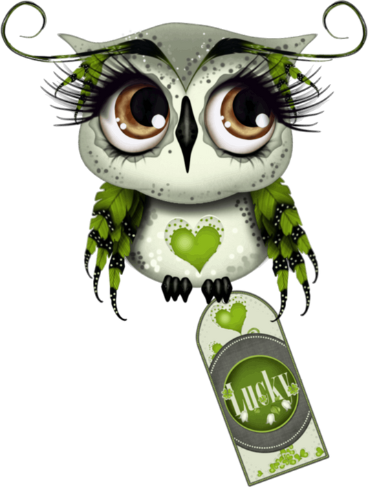 Adorable Lucky Green Irish Owl Ready to Press DTF Heat Transfers