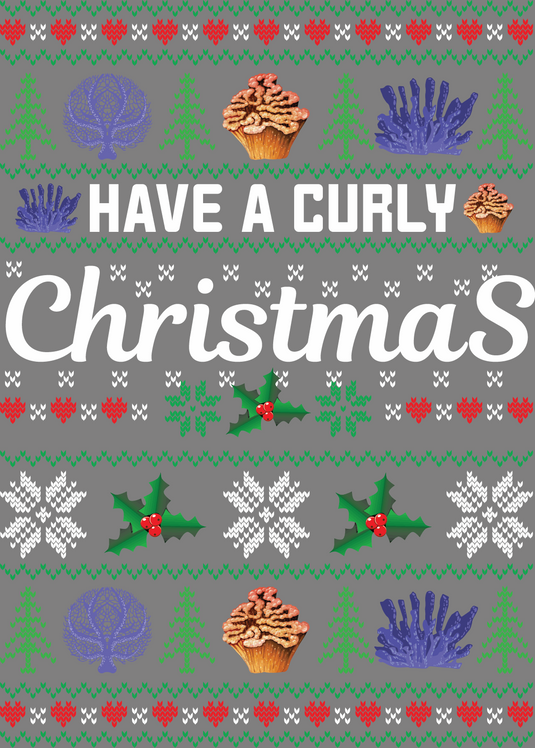 Have A Curly Christmas Ugly Christmas Sweater Party Ready to Press DTF Heat Transfers